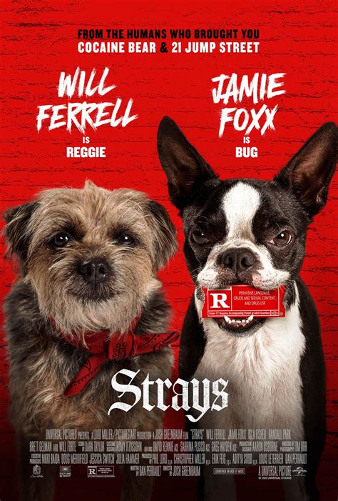 Strays .